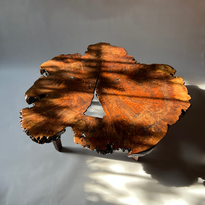 Walnut Burl Coffee Table