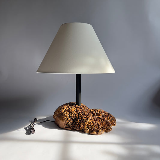 Maple Burl Table Lamp