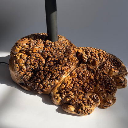 Maple Burl Table Lamp