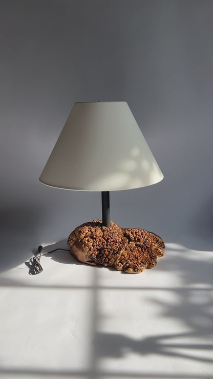 Maple Burl Table Lamp