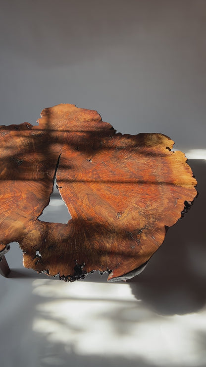 Walnut Burl Coffee Table