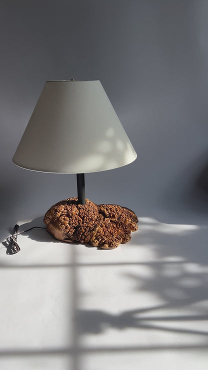 Maple Burl Table Lamp